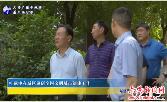 叶露中在城区调研全国文明城市创建工作 