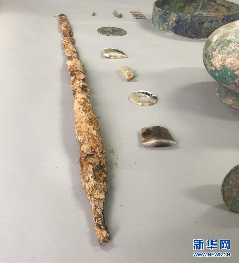 (图文互动)(3)河南出土鹅首曲颈青铜壶 内有逾3000ml不明液体