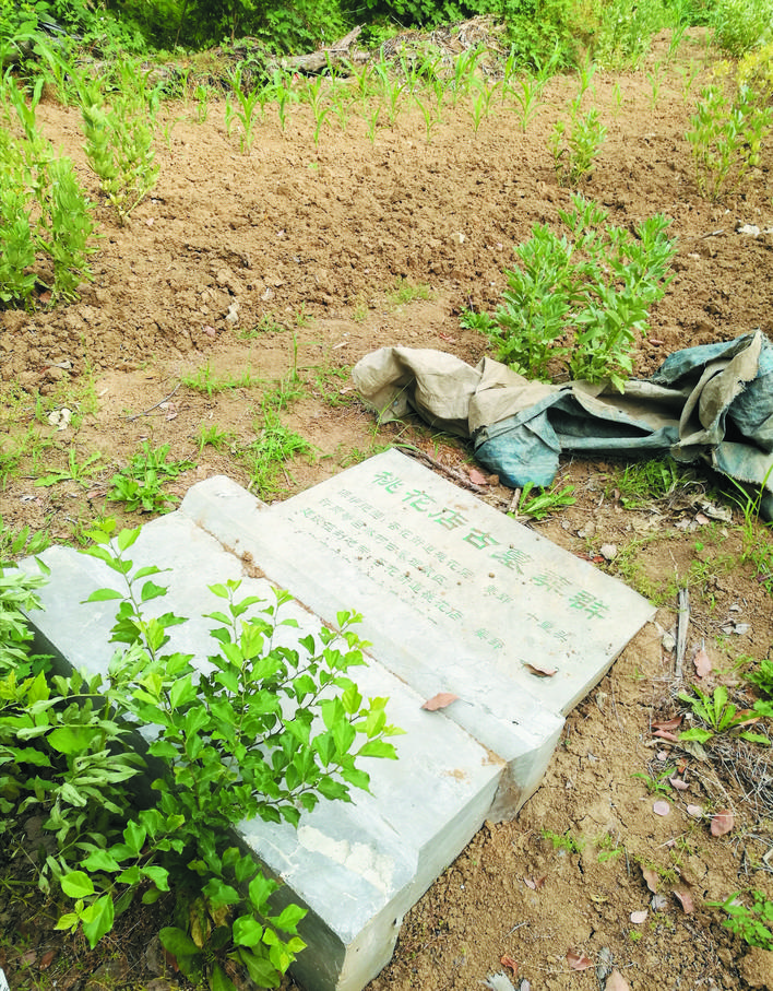 合肥市区将重现“陌上汉邑” 庐阳遗址公园已开始设计