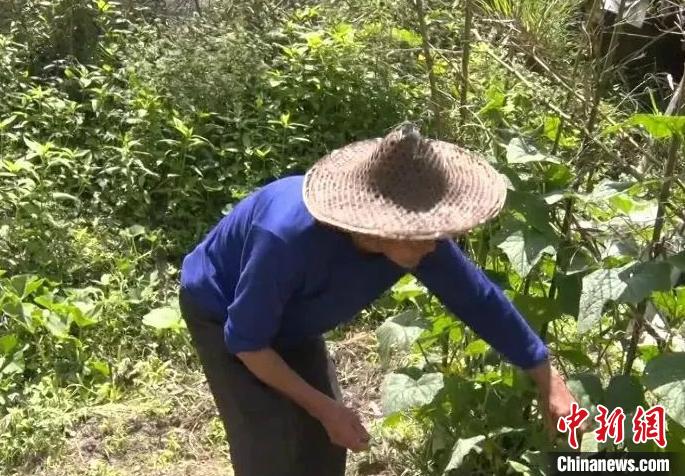 收养脑瘫弃婴21年 浙江一位“爸爸”用不离不弃诠释父爱