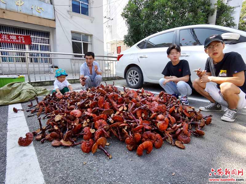 霍山：“西山药库”入佳境，地摊经济飨山民