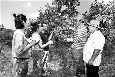 安徽：具体化常态化开展政治监督 践行“两个维护”