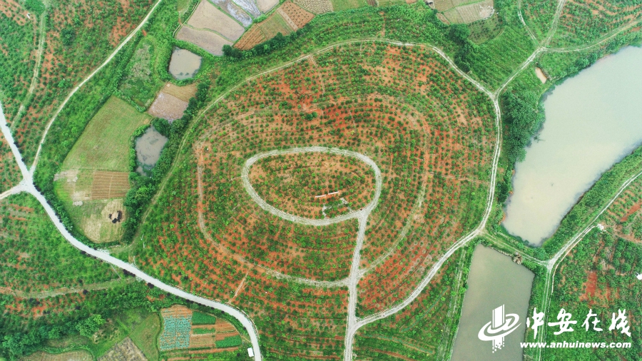 【长江禁捕退捕在行动】 渔民"上岸"开启幸福新生活