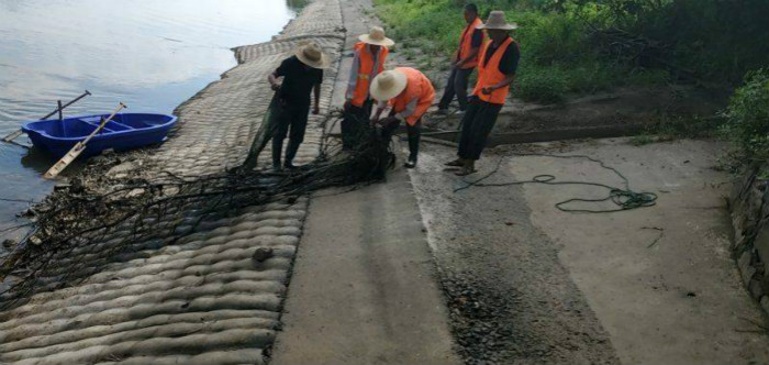市淠河管理处凤凰河清理河道垃圾忙