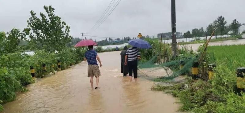 befe7d1c5d6f47a99dbf2af314ad4f52.Jpeg befe7d1c5d6f47a99dbf2af314ad4f52.Jpeg