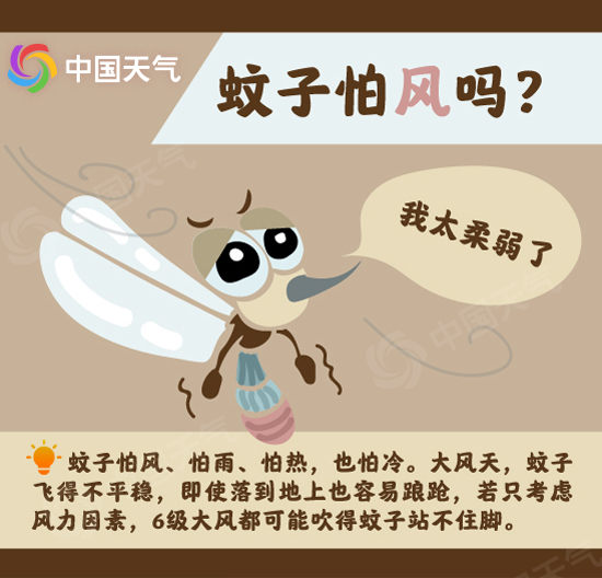 脑洞科普：风雨究竟能不能“消灭”蚊子？