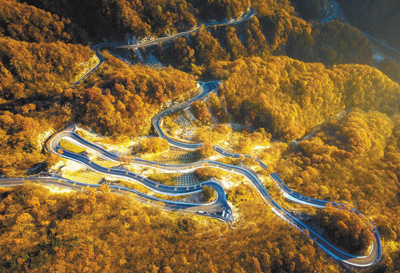 【决胜2020】大湾村的媳妇们