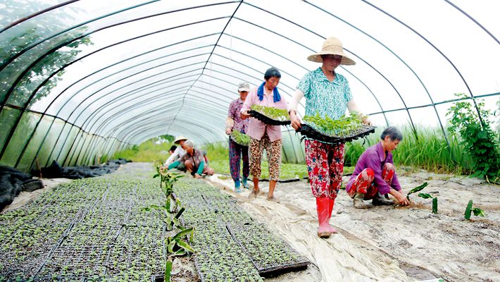 安徽省汛期生活必需品市场供应稳定