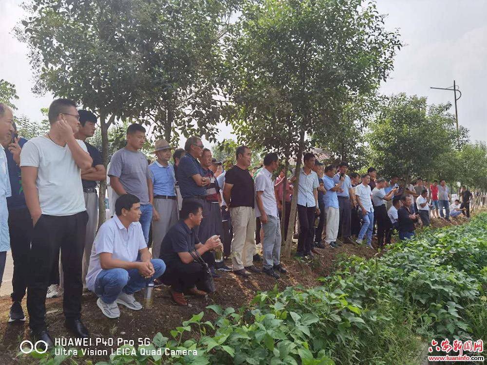 ee6aba5128f94e189dc20ffba2909a2b.jpg ee6aba5128f94e189dc20ffba2909a2b.jpg