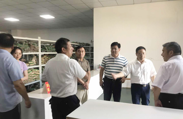 图片33.jpg