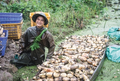 "稳链补链强链"逆风向上 湖北特殊之年"丰收答卷"