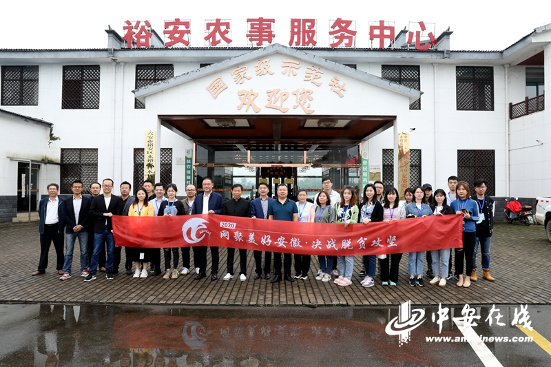 【网聚美好安徽】六安市裕安区：乡贤能人引领 绿色农业致富