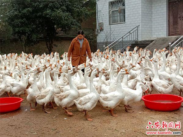 巾帼艰辛创业路