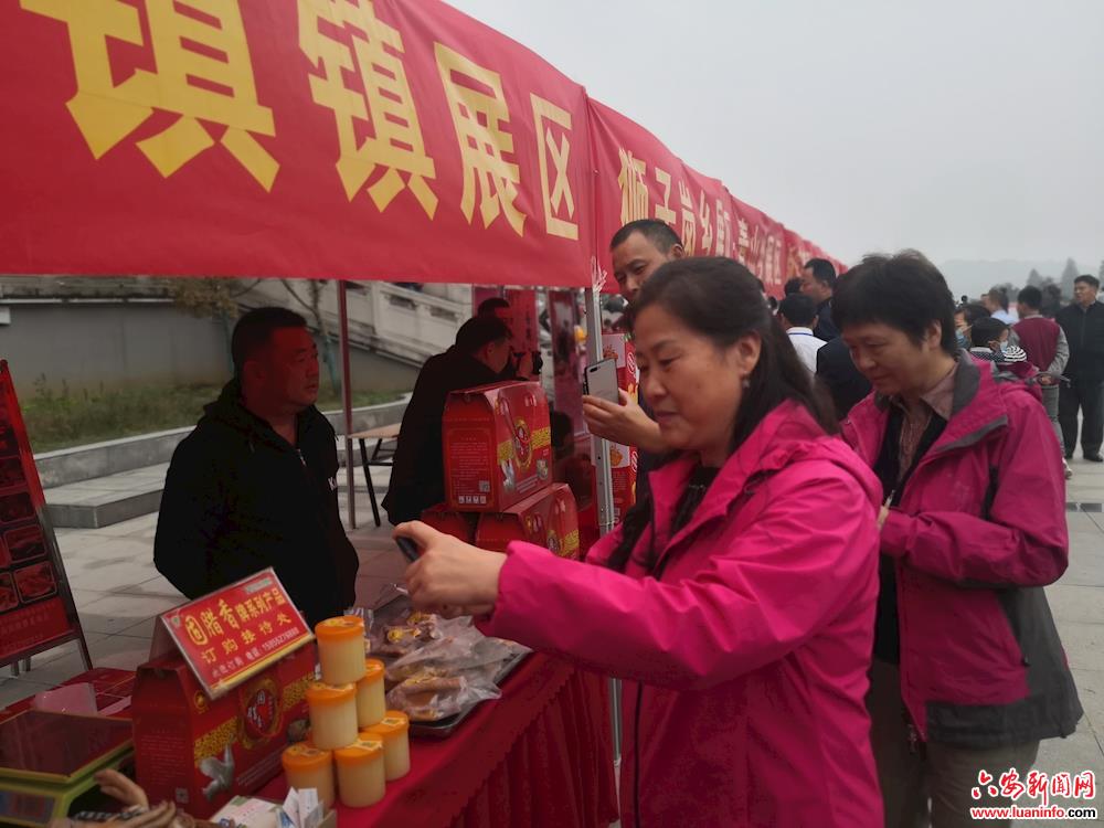 裕安区举办农民丰收节暨扶贫产品展销会