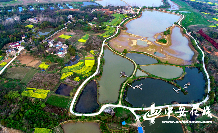 【潮涌长三角 共建进行时】致富“领头雁”带着村民奔小康