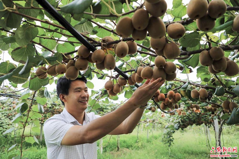溯源生态守护“舌尖上的安全” 
