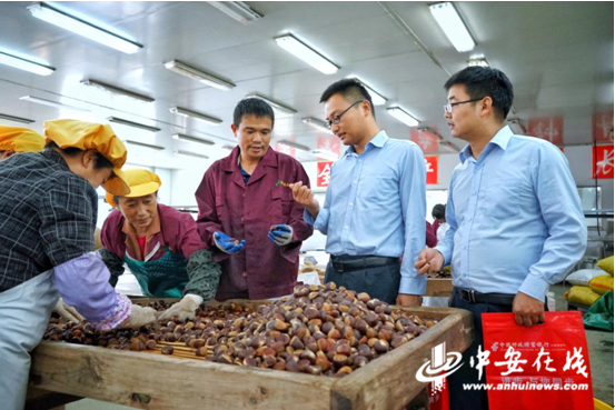 【抓六保促六稳】九月板栗笑哈哈