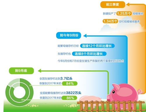 碗里不会缺肉!猪肉价格七连降 生猪产量持续恢复