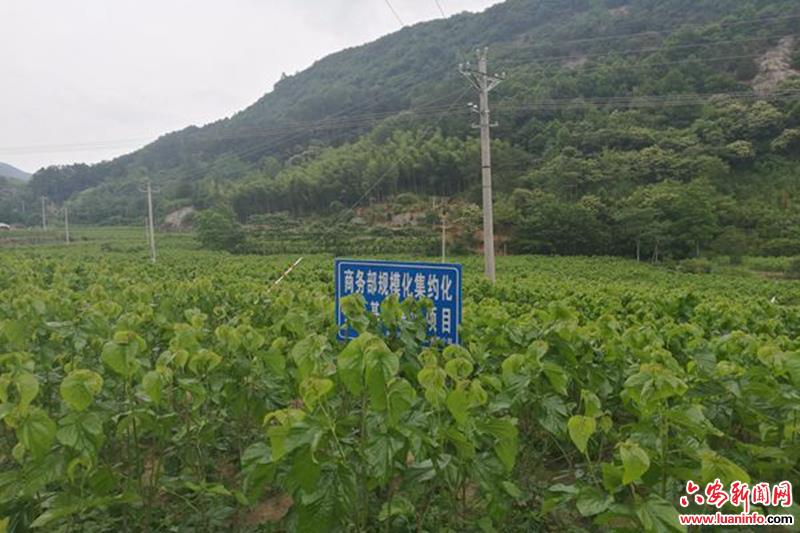 小村庄大变化 绘就和谐美丽新农村画卷