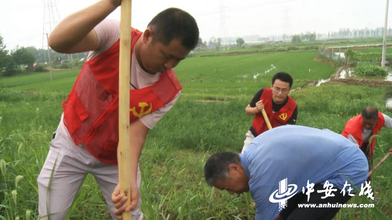 【榜样】王松：挺立在洪水中的一棵“劲松”