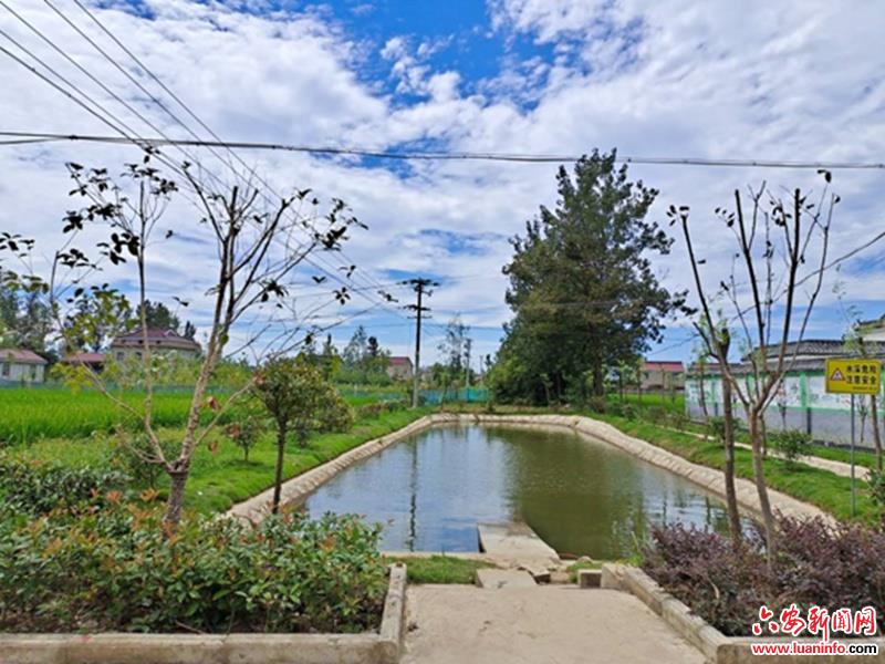 干群合作谋建设 美丽乡村自然成