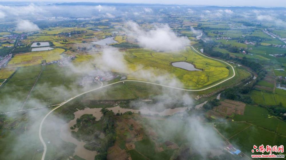 农发行加大长江大保护信贷支持力度成效显著