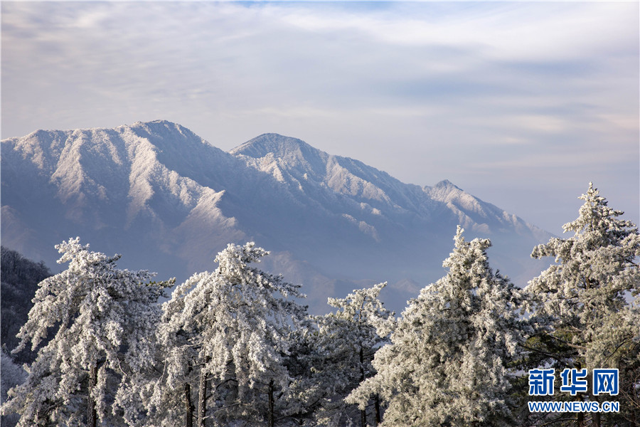 【“飞阅”中国】玉树琼枝大别山