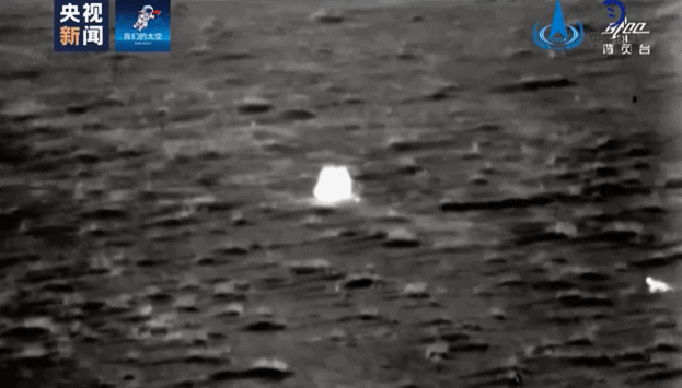真的是“玉兔”接“嫦娥”？搜索队员来破案了！