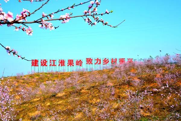 我市“借岭生金”推动江淮果岭建设助力乡村振兴