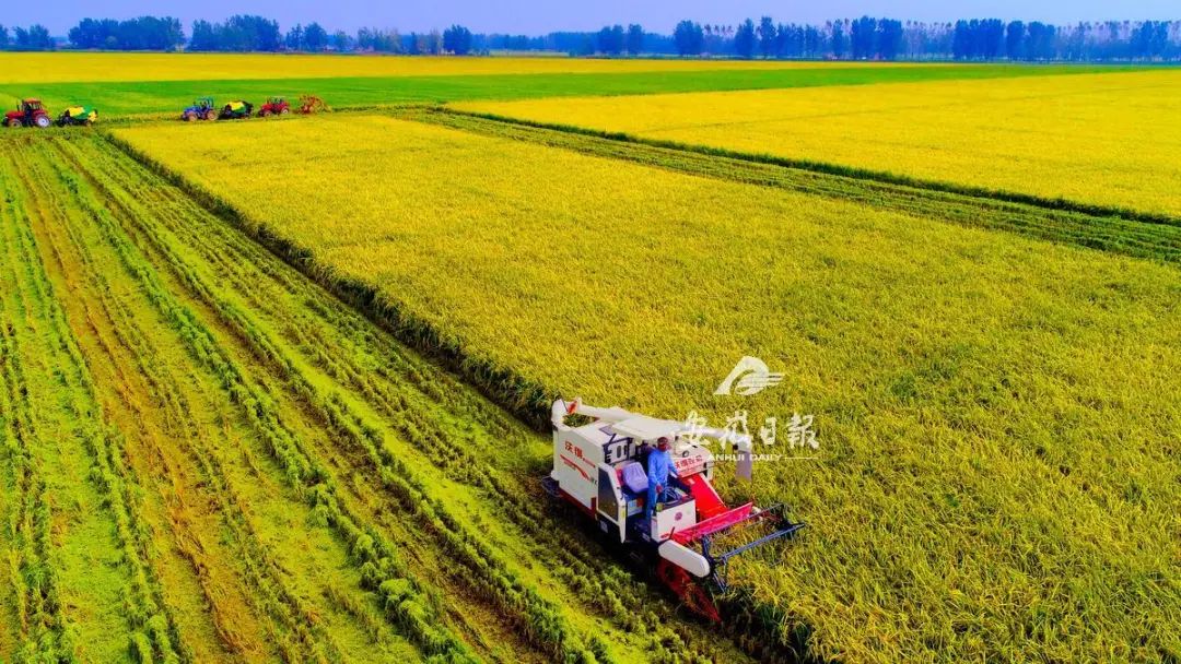十三五安徽经济实力大跃升