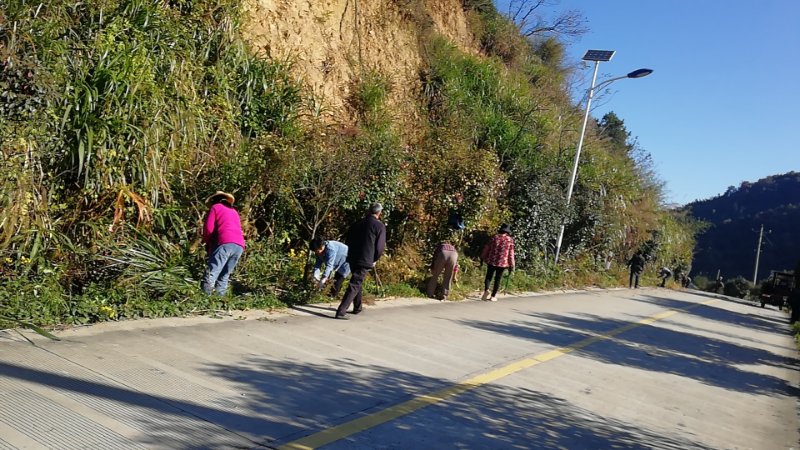 金寨县梅山镇“高标准”规范管理公益性岗位