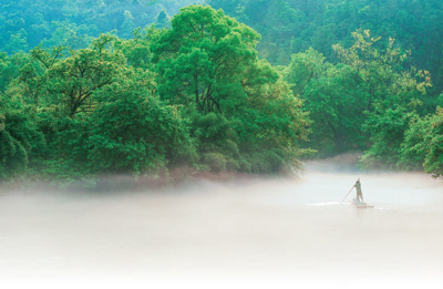 23省份已开展林长制改革试点 2022年6月将全面建立