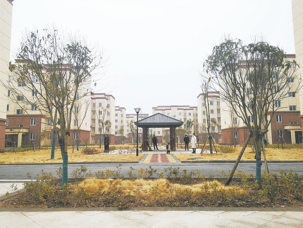 【新春走基层】蒙洼飞出欢乐的歌