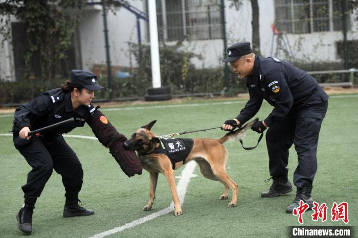 铁路女警因犬成就浪漫姻缘 将丈夫引上训导警犬之路
