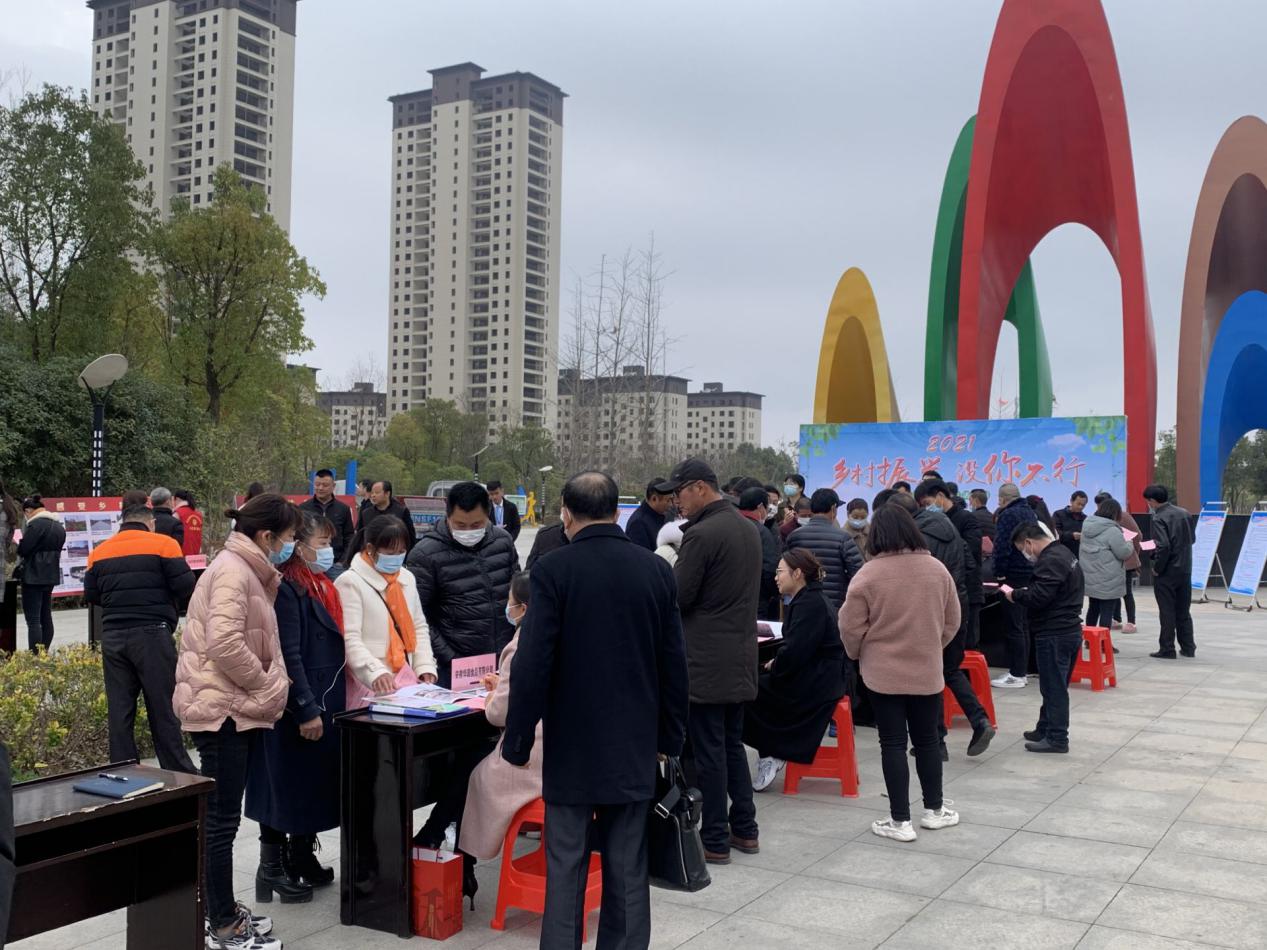 城南镇：谱写好乡村振兴“先导三部曲”