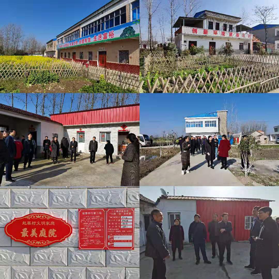 三十铺镇开展农村人居环境整治视察调研