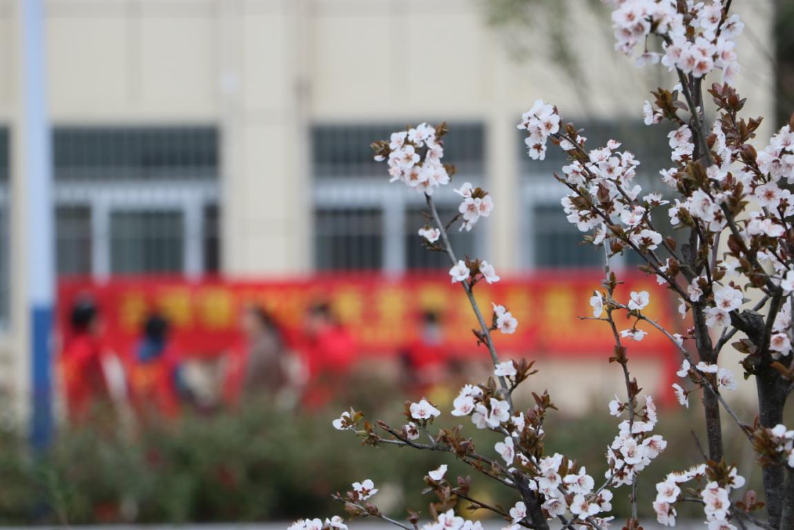 金寨县古碑镇：处处开满雷锋精神之花