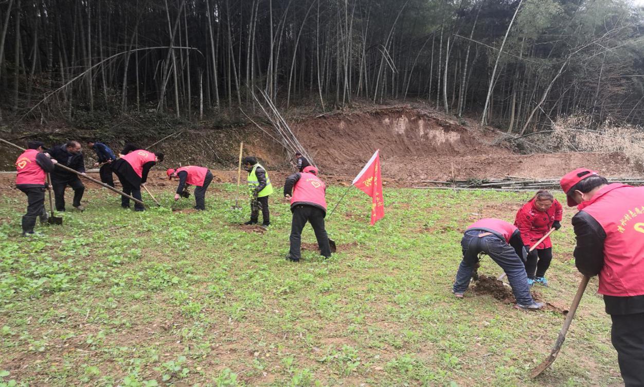 金寨县梅山镇清水村新时代文明实践之“护绿使者”在行动