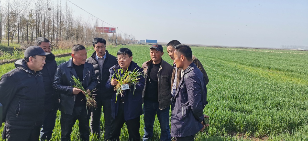 人勤春来早，田管正当时