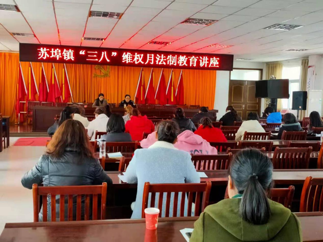 苏埠镇开展“三八”妇女节系列法治宣传活动
