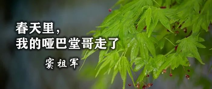 窦祖军：春天里，我的哑巴堂哥走了 | 清明雨