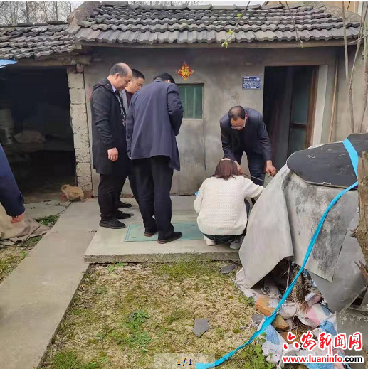 六安市、舒城县农业农村局到桃溪镇督查指导农村改厕工作