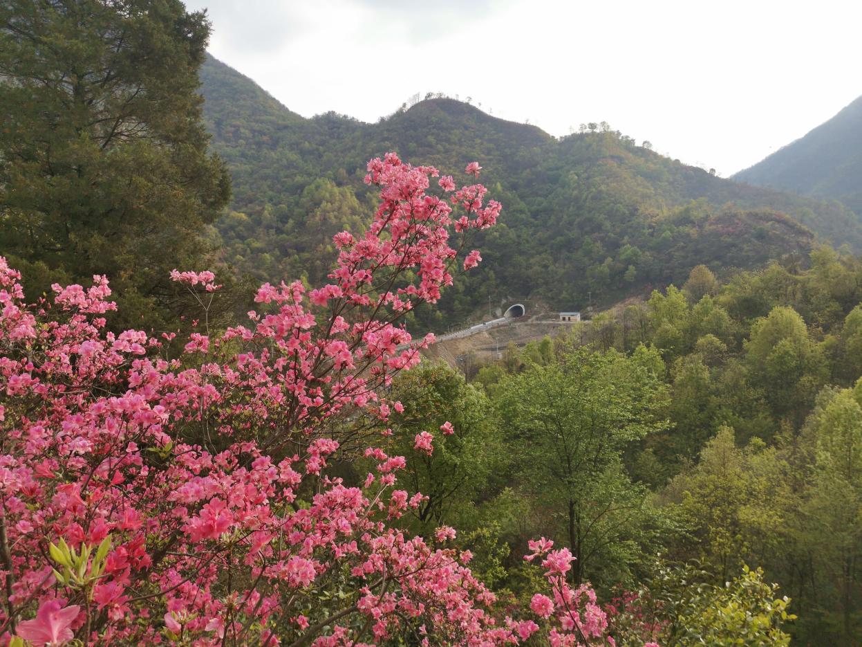 金寨县铁冲乡：抓旅游促发展，带动群众增收致富