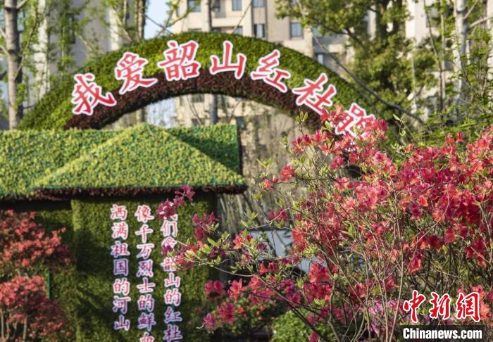 韶山杜鹃花展园。 唐娟 摄