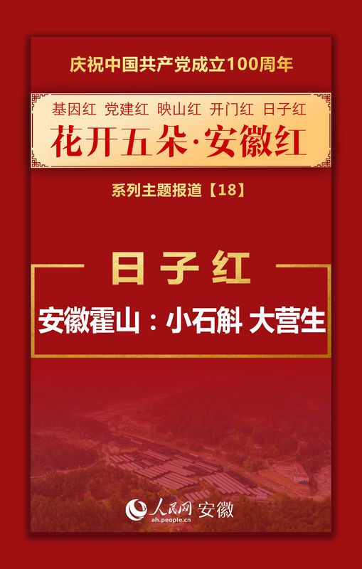 日子红丨安徽霍山：小石斛 大营生