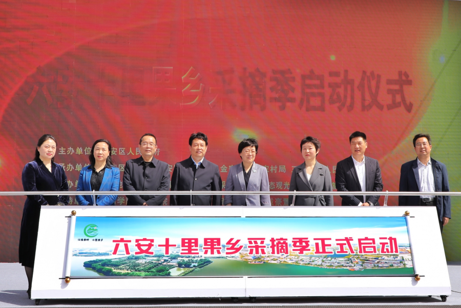 六安“十里果乡”采摘季来了！一年四季都有好吃的！