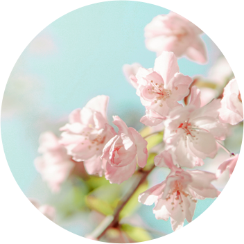 五一来啦！假期出行流量不够用？看这里！看这里！