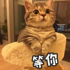e938255a13e0484e889a5797ea113481.Jpeg