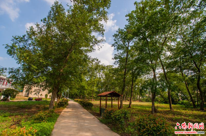 借力好生态 喜迎新生活