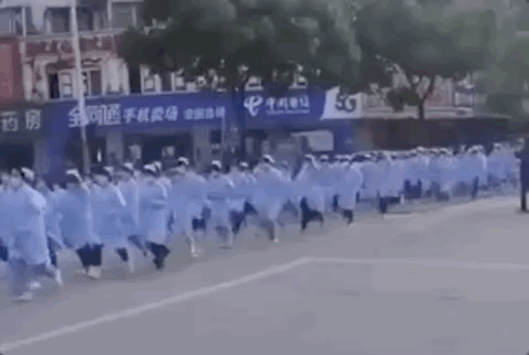 0f8269e762f2496f8c6eaaf6f919b29a.Gif